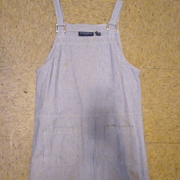 Y2K Mountain Lake Striped Denim Overall Dress Size Medium Petite - Picture 15 of 16
